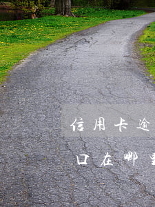 信用卡逾期沒還款入口(信用卡逾期沒還款入口在哪里)
