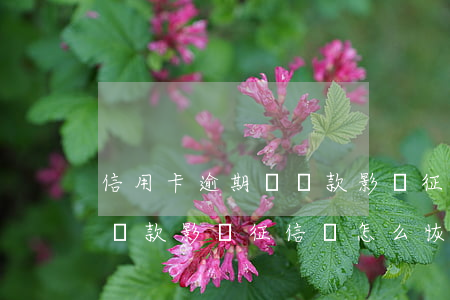 信用卡逾期沒還款影響征信嗎(信用卡逾期沒還款影響征信嗎怎么恢復(fù))