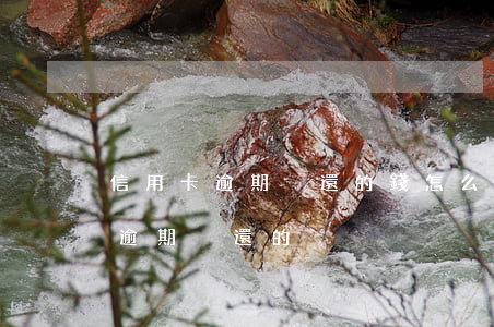 信用卡逾期沒還的錢怎么處理(有沒有信用卡逾期沒還的)