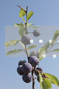 信用卡逾期沒還積分還能用嗎(逾期的信用卡積分可以用嗎)