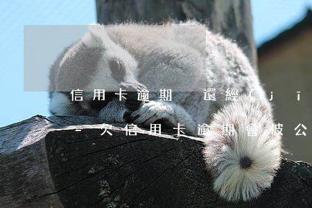 信用卡逾期沒還經(jīng)偵能否立案-欠信用卡逾期會被公安局抓嗎