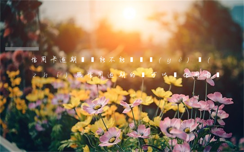 信用卡逾期沒還能不能辦營業(yè)執(zhí)照 信用逾期的還可以辦信用卡嗎?