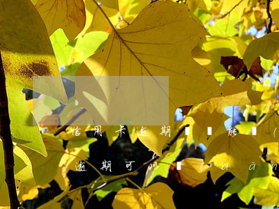 信用卡逾期沒還能當(dāng)兵嗎(征信逾期可以當(dāng)兵嗎)