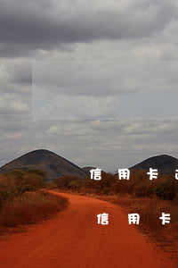 信用卡逾期沒還被催款會怎樣-不知道哪張信用卡逾期了