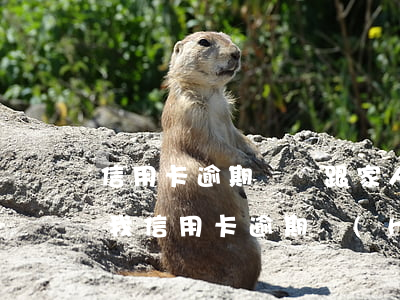 信用卡逾期沒還跟家人有關(guān)系(我信用卡逾期會(huì)影響家人貸款嗎)