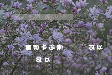 信用卡逾期沒還車可以賣嗎(信用卡逾期沒還車可以賣嗎)