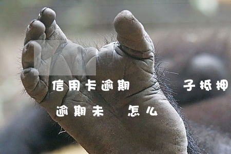 信用卡逾期沒還車子抵押貸款 車貸是信用卡逾期未還怎么辦