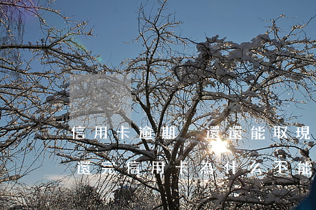 信用卡逾期沒還還能取現(xiàn)嗎(剛還完信用卡為什么不能取現(xiàn))
