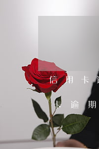 信用卡逾期沒還飛機(jī)能坐么(我信用卡逾期能不能上飛機(jī))