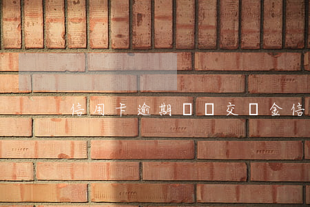信用卡逾期沒錢交罰金(信用卡逾期會扣錢嗎)