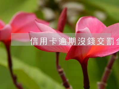 信用卡逾期沒錢交罰金(逾期罰金可以不還嗎)