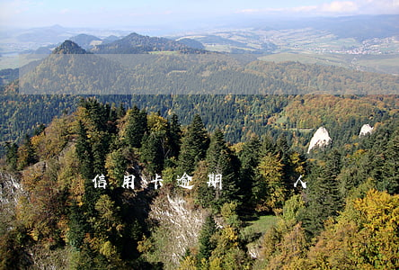 信用卡逾期沒錢人員