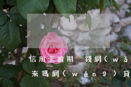 信用卡逾期沒錢網(wǎng)貸還能貸下來嗎(網(wǎng)貸逾期暫時沒有錢還怎么辦)