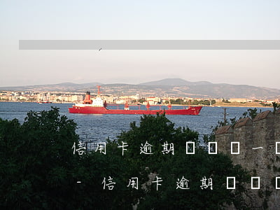 信用卡逾期沒錢還一個月還100元可以嗎-信用卡逾期沒錢還一個月還100元可以嗎