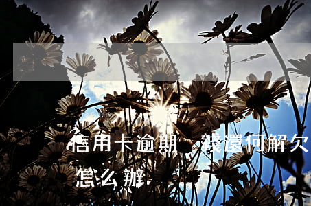 信用卡逾期沒錢還何解(欠信用卡暫時沒錢還怎么辦)