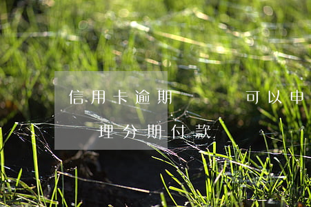 信用卡逾期沒錢還可以申請分期 逾期了不能辦理分期付款嗎