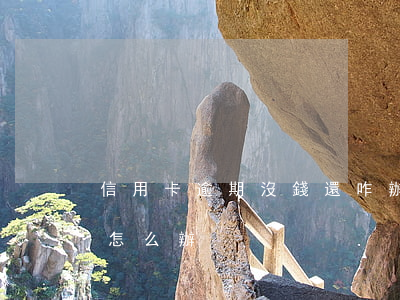 信用卡逾期沒錢還咋辦(欠信用卡的錢沒錢還怎么辦)