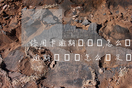信用卡逾期沒錢還怎么辦及時止損-信用卡逾期沒錢還怎么辦及時止損呢