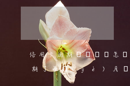 信用卡逾期沒錢還會怎樣-欠信用卡的錢逾期了每個(gè)月還一點(diǎn)可以嗎