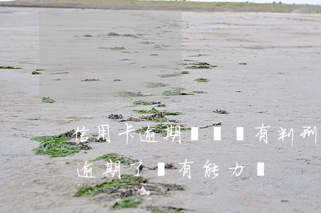 信用卡逾期沒錢還有判刑的嗎(判刑了信用卡逾期了沒有能力還)