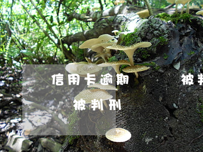 信用卡逾期沒錢還被判刑(信用卡逾期還不上會被判刑嗎)