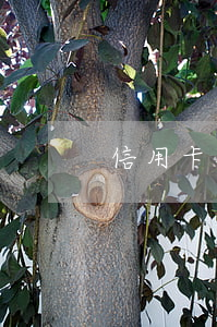 信用卡逾期沒領取(沒注意信用卡逾期了)