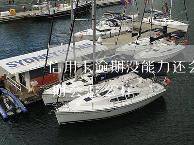 信用卡逾期没能力还会怎样(如果说信用卡逾期会怎么样)
