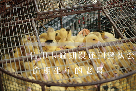 信用卡逾期没还刑警队会管吗(有没有信用卡逾期坐牢的老哥)