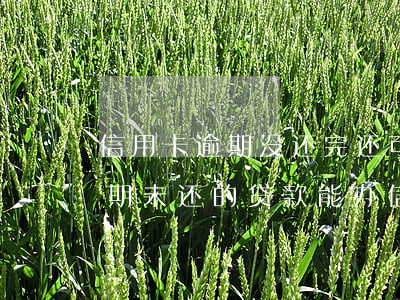 信用卡逾期没还完还可以贷款吗(征信还有逾期未还的贷款能办信用卡)