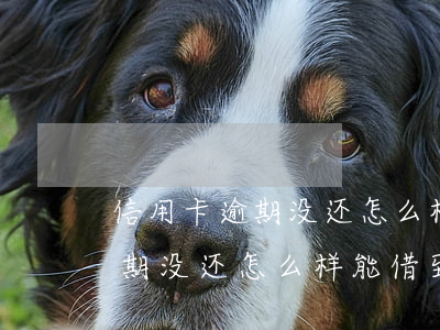 信用卡逾期没还怎么样能借到钱-信用卡逾期没还怎么样能借到钱呢