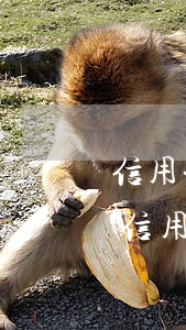 信用卡逾期没钱还跟哪里协商-没有逾期的信用卡可以协商还款吗