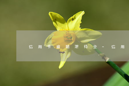 信用卡逾期泄待金-信用卡逾期泄待金