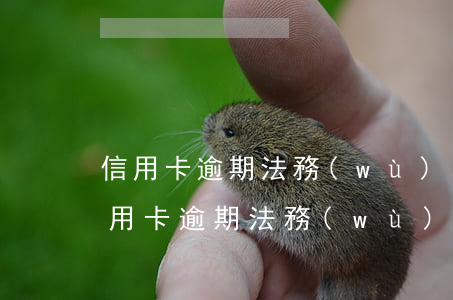 信用卡逾期法務(wù)協(xié)商(信用卡逾期法務(wù)協(xié)商分期詐騙)