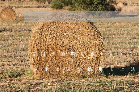 信用卡逾期法務(wù)協(xié)商可以相信嗎 欠信用卡上法院是不是協(xié)商還款