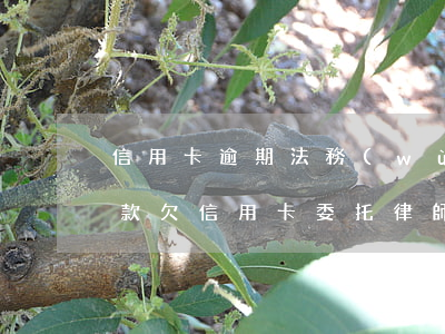 信用卡逾期法務(wù)協(xié)商收款(欠信用卡委托律師協(xié)商)