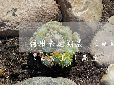 信用卡逾期法務(wù)團(tuán)隊(duì)商丘