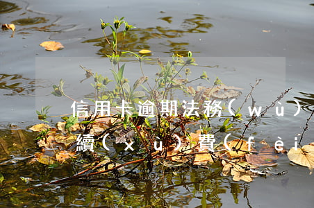 信用卡逾期法務(wù)收費(fèi)(手續(xù)費(fèi)問題造成信用卡逾期)