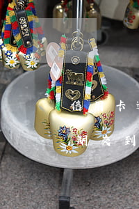 信用卡逾期法務(wù)部要報案(信用卡逾期交到法務(wù)部門會怎么處理)
