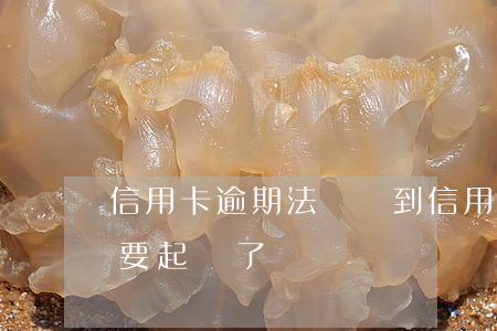 信用卡逾期法務辦(到信用卡法務部是不是就要起訴了)