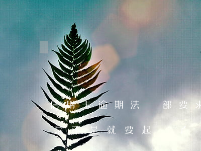 信用卡逾期法務部要求全款(到信用卡法務部是不是就要起訴了)