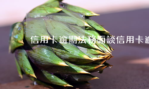 信用卡逾期法務面談(信用卡逾期法務面談)