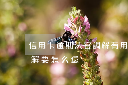 信用卡逾期法官調解有用嗎(欠信用卡法院調解要怎么還)