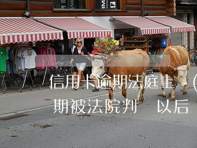 信用卡逾期法庭上協(xié)商(信用卡逾期被法院判決以后還有協(xié)商機會嗎)