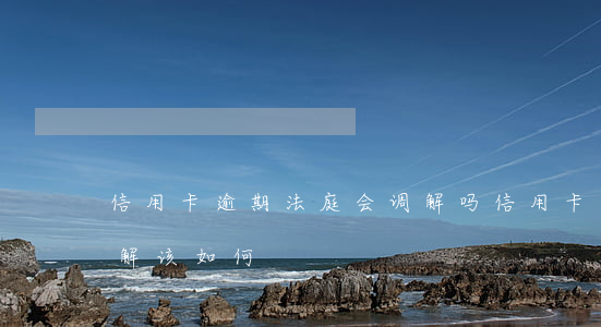 信用卡逾期法庭会调解吗(信用卡逾期庭前调解该如何)