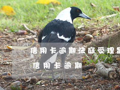信用卡逾期法庭受理是真的吗-法院如何判信用卡逾期