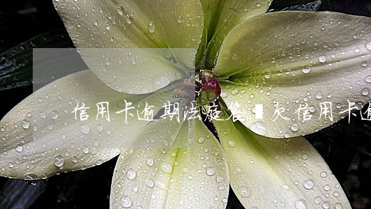 信用卡逾期法庭答辯(欠信用卡逾期被起訴)