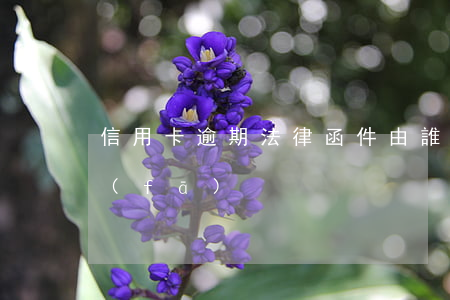 信用卡逾期法律函件由誰(shuí)派發(fā)