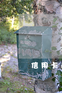 信用卡逾期法律制裁