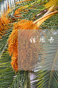 信用卡逾期法律哈爾濱