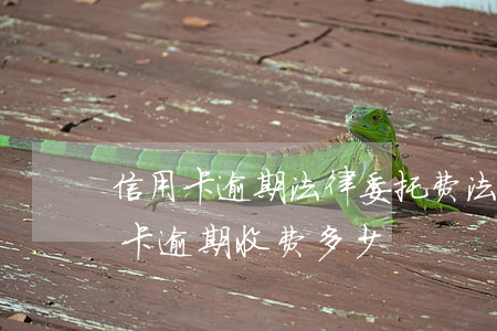 信用卡逾期法律委托费(法律有没有规定信用卡逾期收费多少)